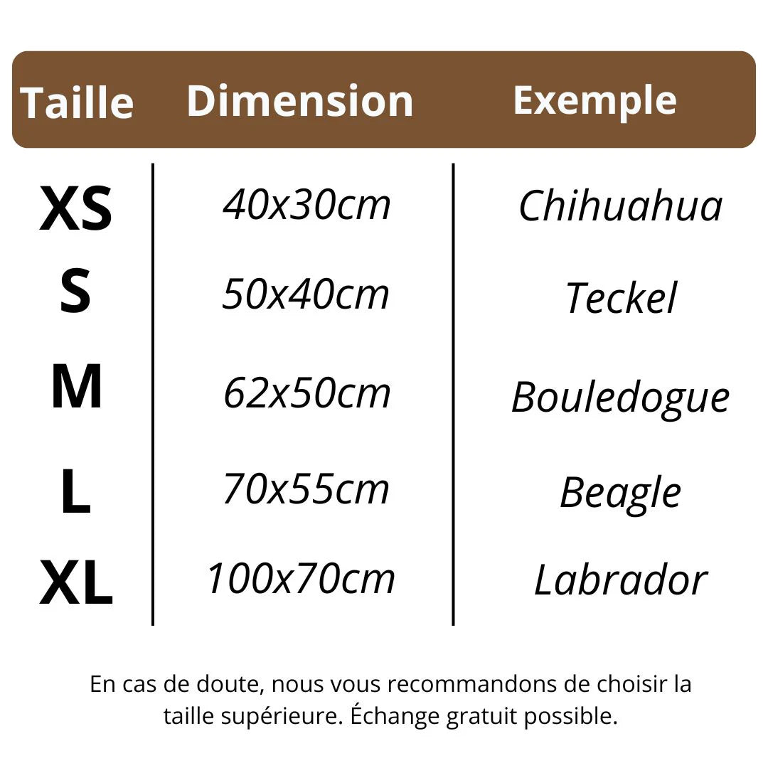 CoolPaw™ - Tapis rafraîchissant pour ton chien