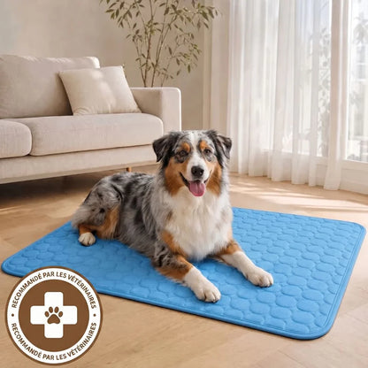 CoolPaw™ - Tapis rafraîchissant pour ton chien