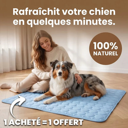 CoolPaw™ - Tapis rafraîchissant pour ton chien
