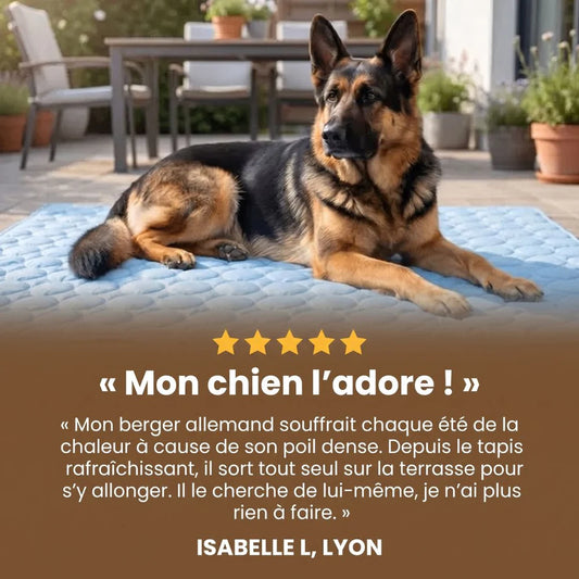 CoolPaw™ - Tapis rafraîchissant pour ton chien