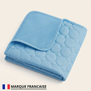 CoolPaw™ - Tapis rafraîchissant pour ton chien