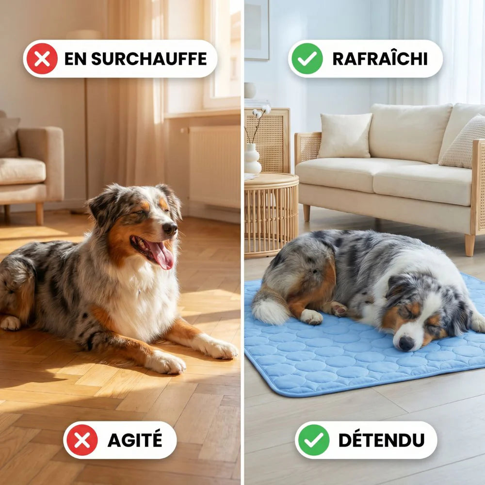CoolPaw™ - Tapis rafraîchissant pour ton chien