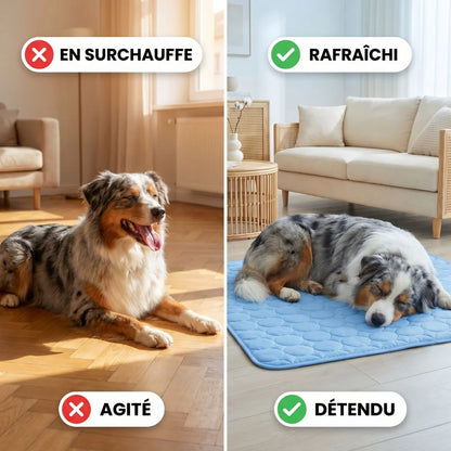 CoolPaw™ - Tapis rafraîchissant pour ton chien